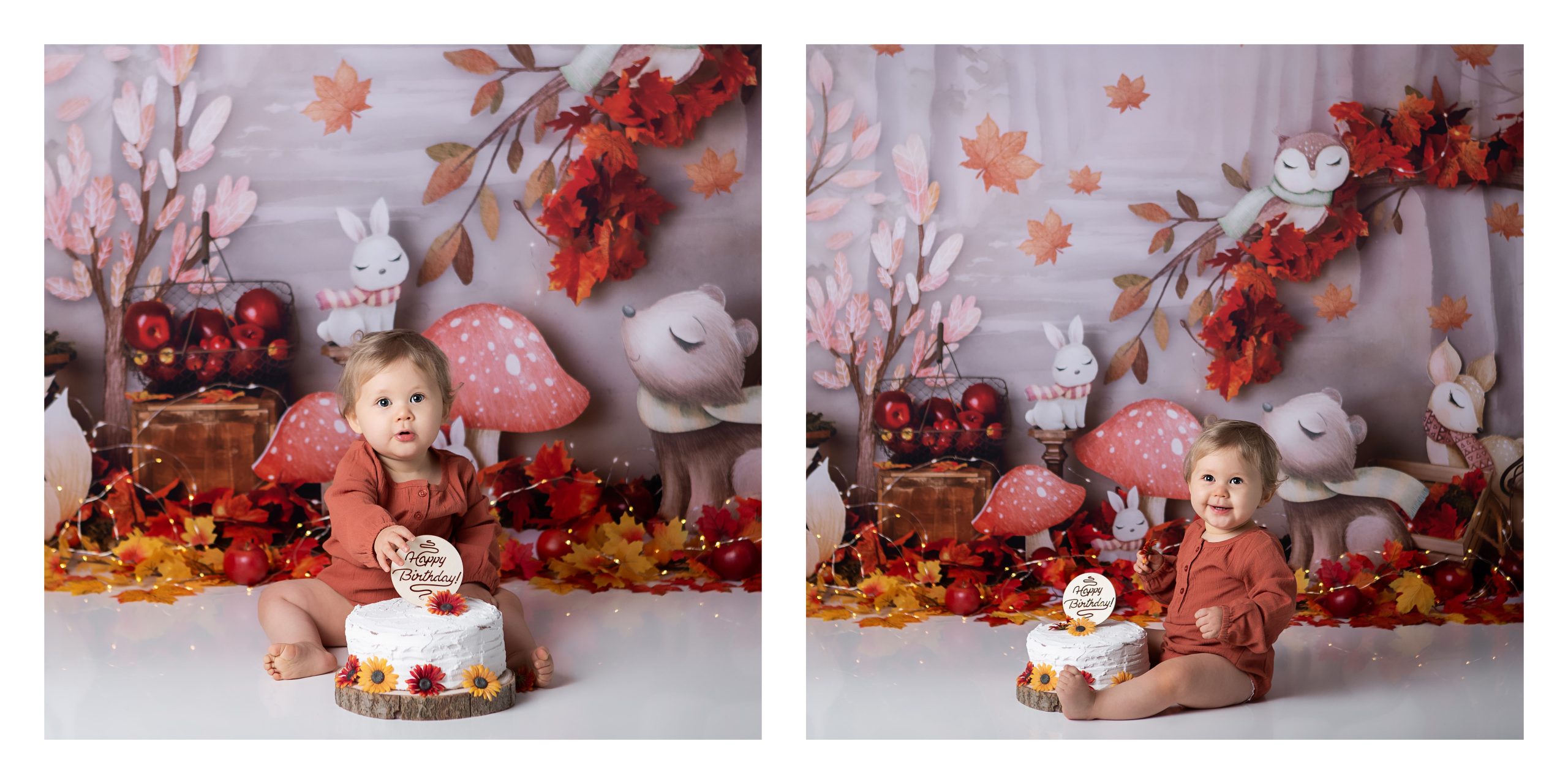 Photographe bébé enfant St Amand Montrond