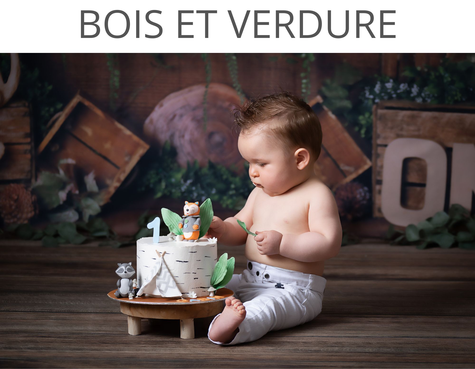 bois et verdure