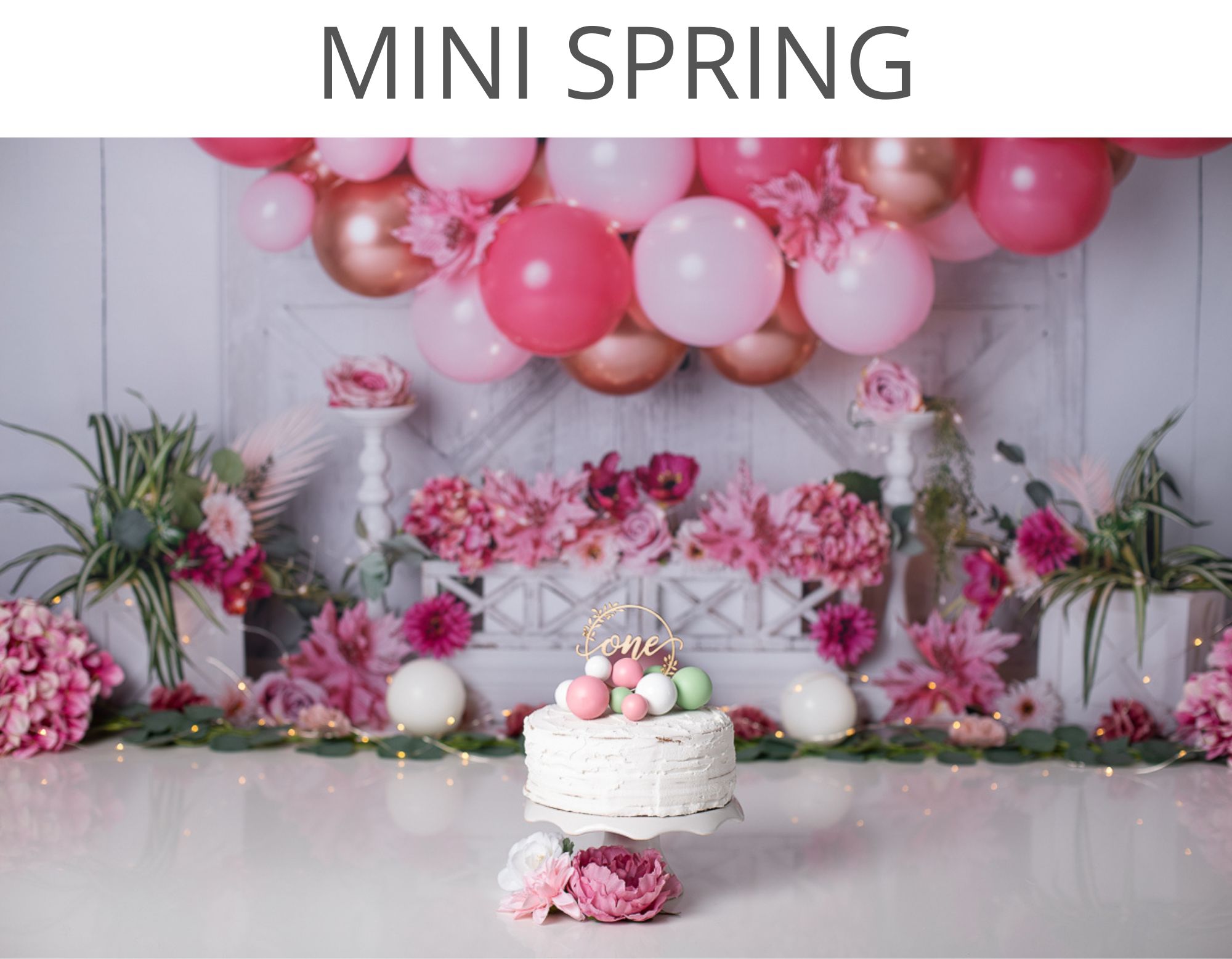 mini spring