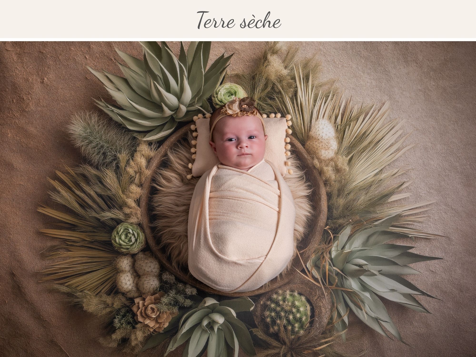 Terre sèche